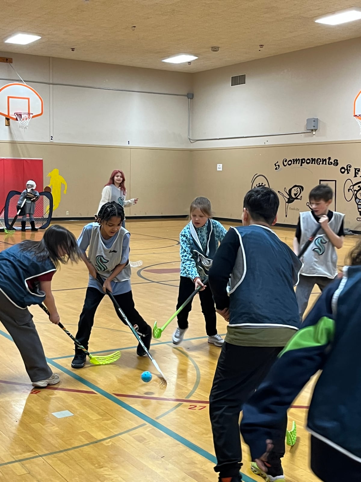 Hawthorne Elementary ball hockey